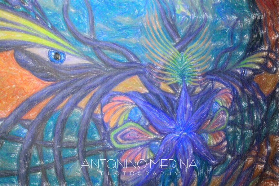 DIMENSION X